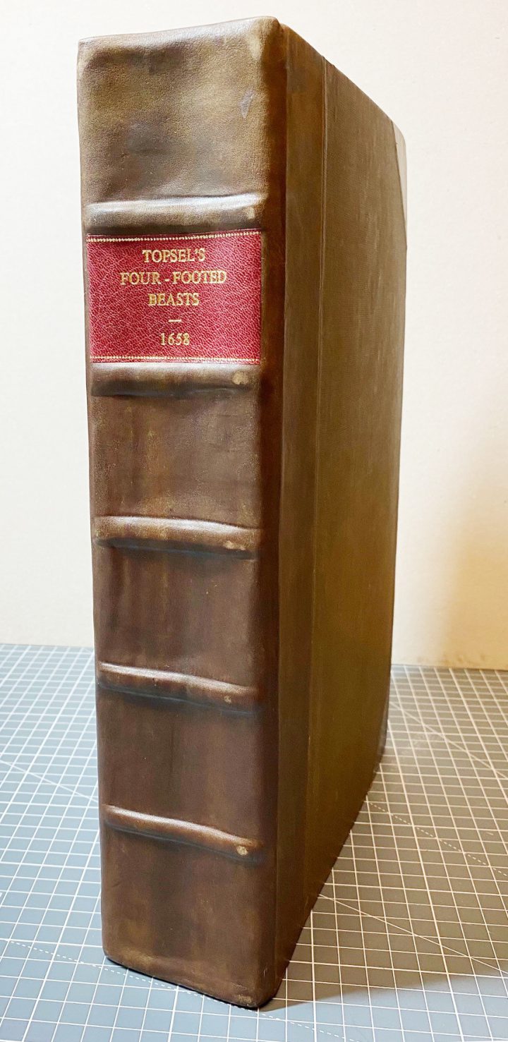 Conserved copy of Topsell's 'Four-footed Beasts and Serpents'