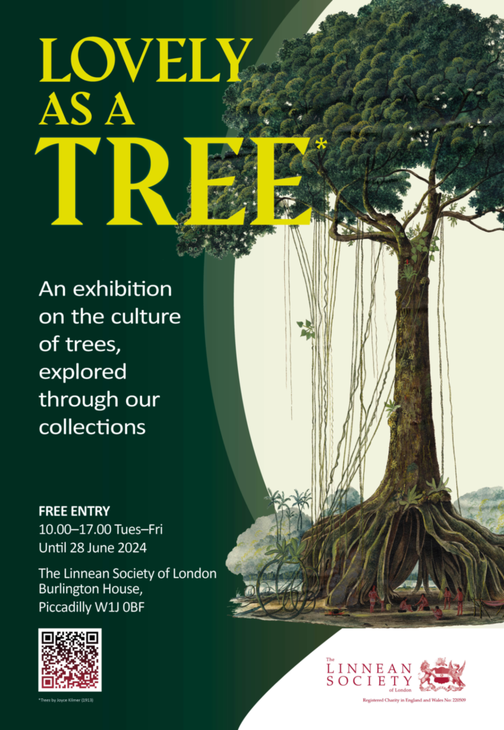 Lovely as a tree poster