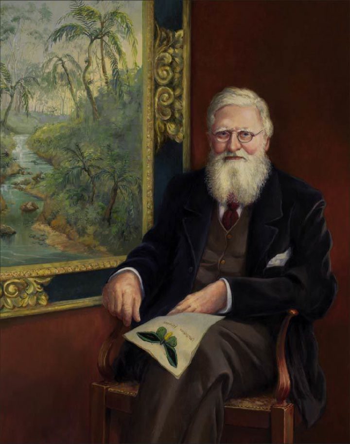 Alfred Russel Wallace, by R. Remington, 1998