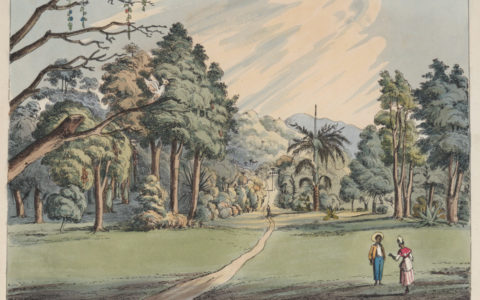 Maria: An Enslaved Woman in the St Vincent Botanical Garden