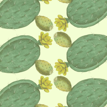 #12: Spiky Future Foods