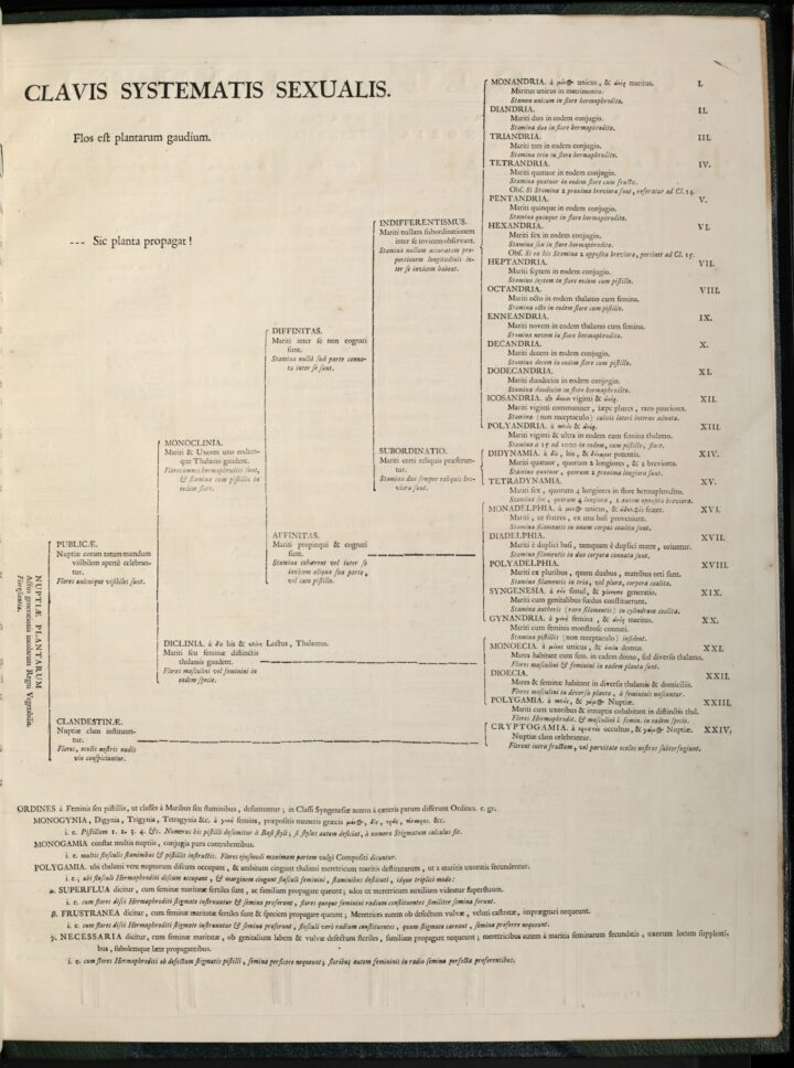 Systema naturae, key to the sexual system