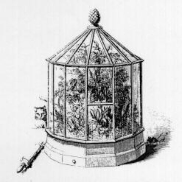 Example of a Wardian Case (Creative Commons)