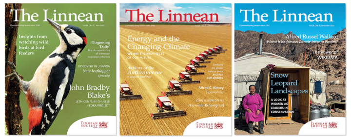 The Linnean covers