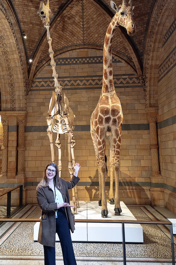 Dr Heather E. White stands in front of museum specimens of two giraffes