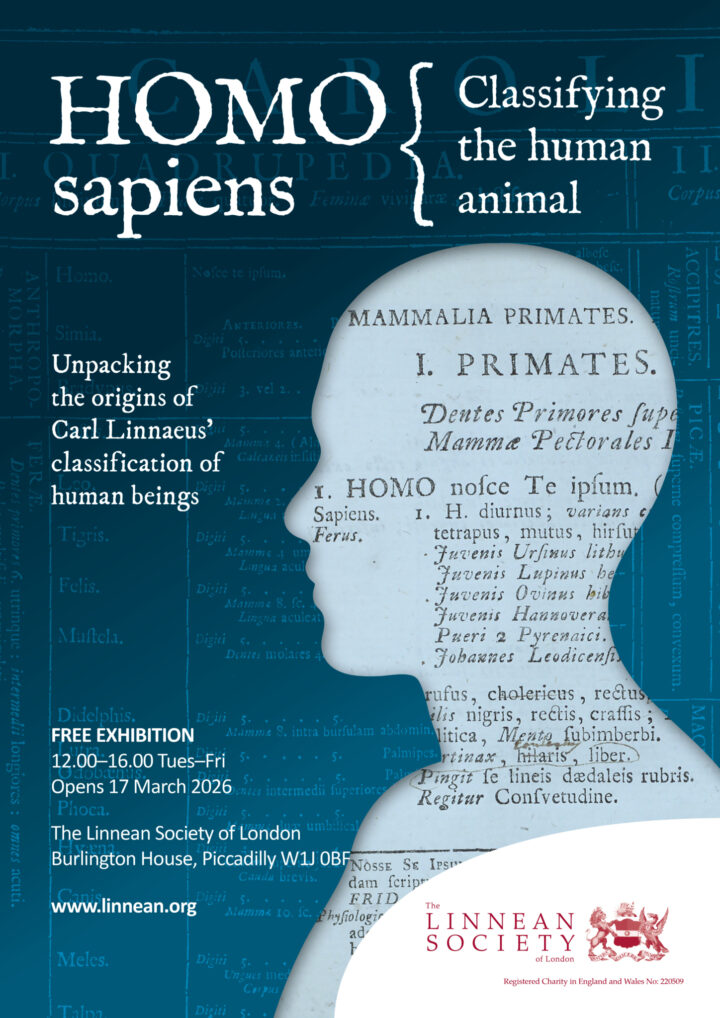 Homo sapiens exhibition poster