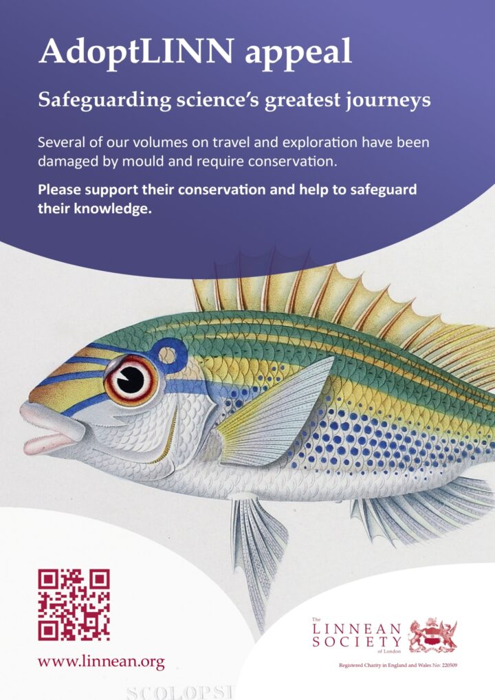 A poster inviting donations to the AdoptLINN appeal, featuring a colourful fish.
