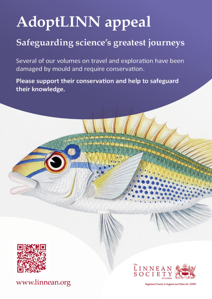 A poster inviting donations to the AdoptLINN appeal, featuring a colourful fish.