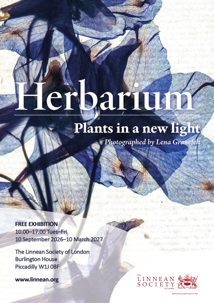 Poster exhibition with close up of Delphinium specimen