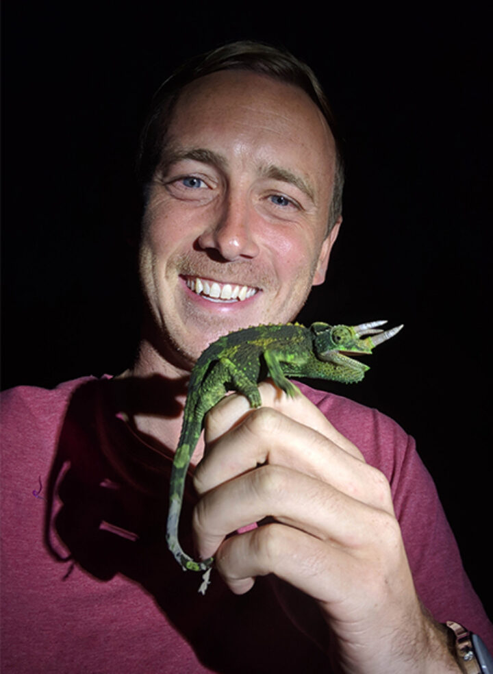 A man in a dark red T-shirt smiles holding a green lizard on his hand, seemingly at night-time