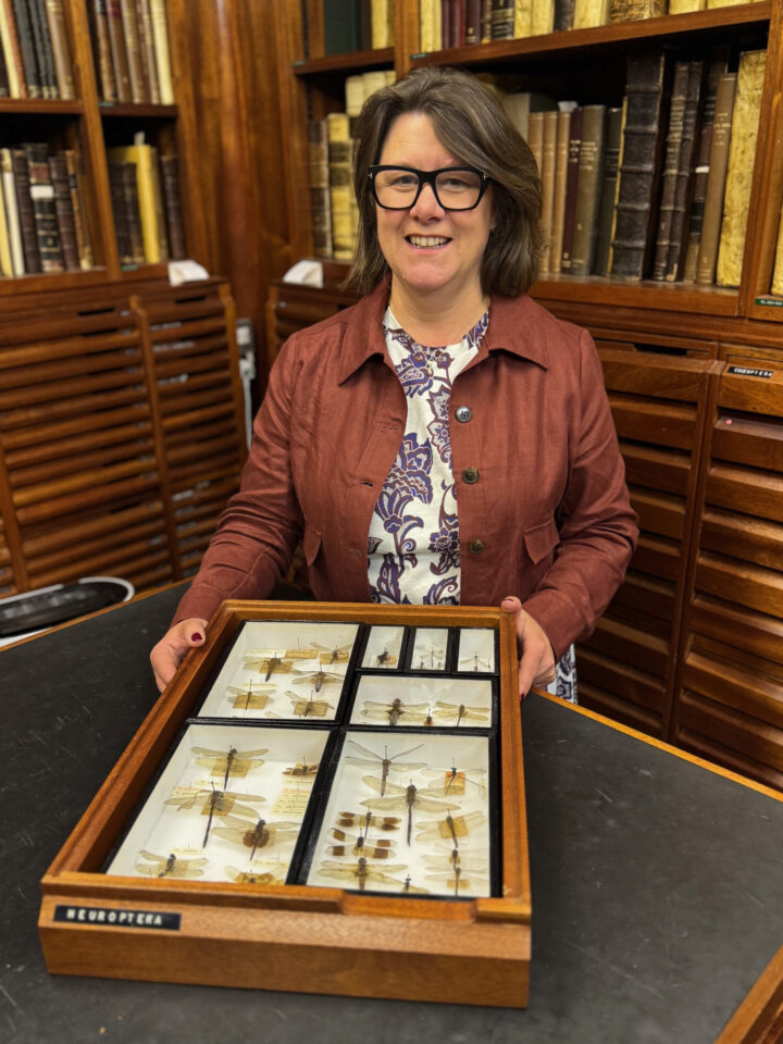 A woman stoof in front of a tray of insect specimens