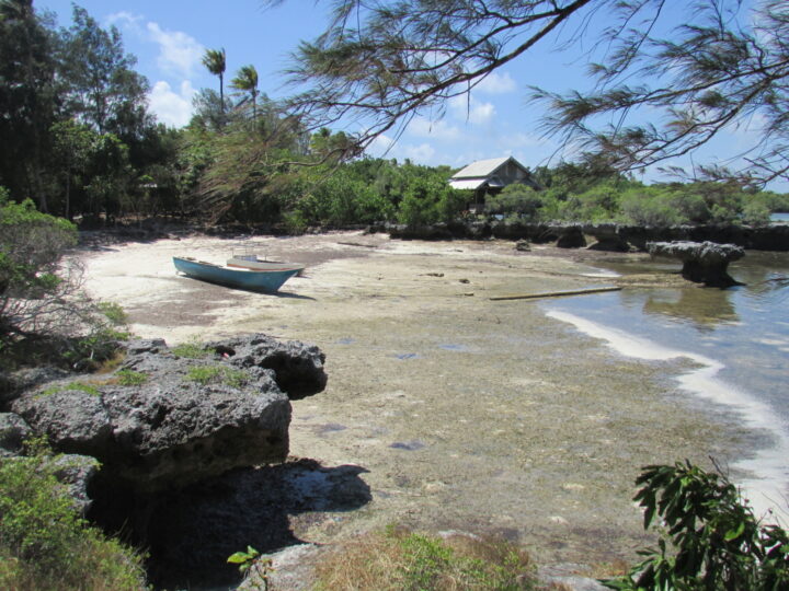 Wakatobi