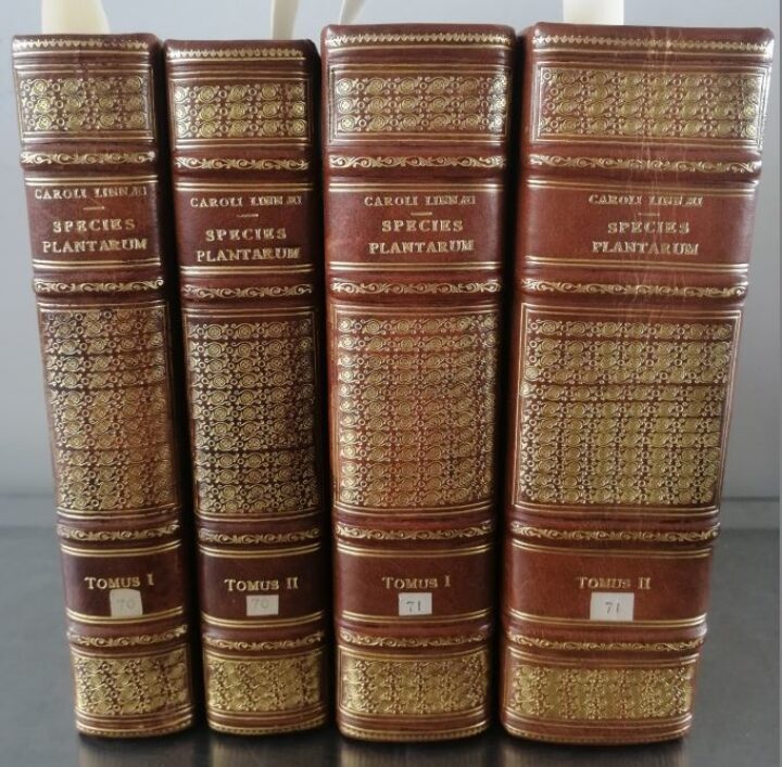 Bindings of Species plantarum, Meise
