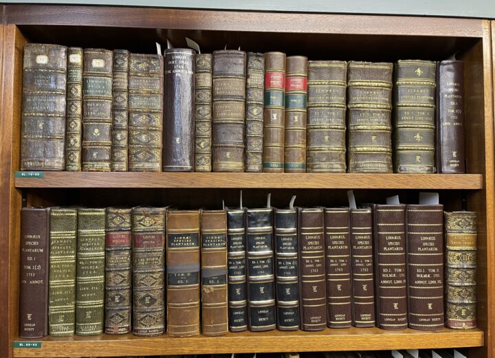 Shelf of Species plantarum copies, Linn Soc