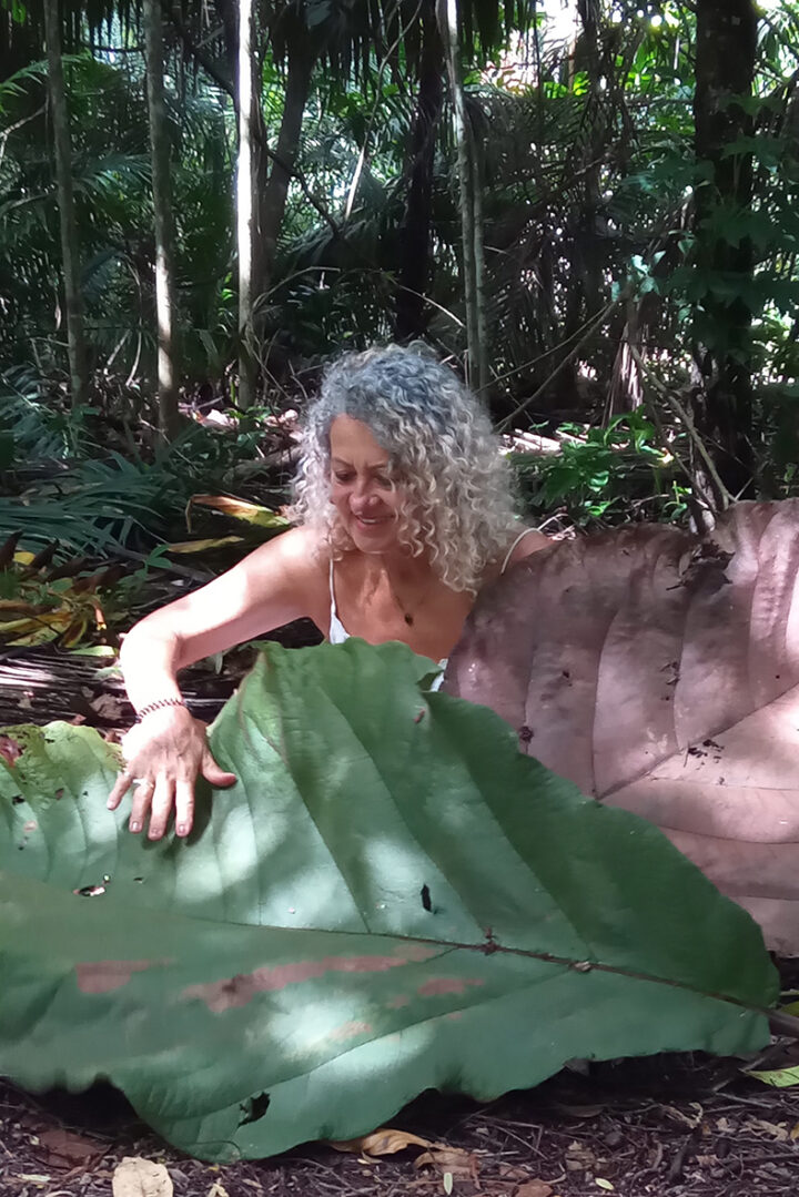 Maria Alice de Rezende sits on the forest floor looking down at a huge leaf from the Coccoloba gigantifolia tree