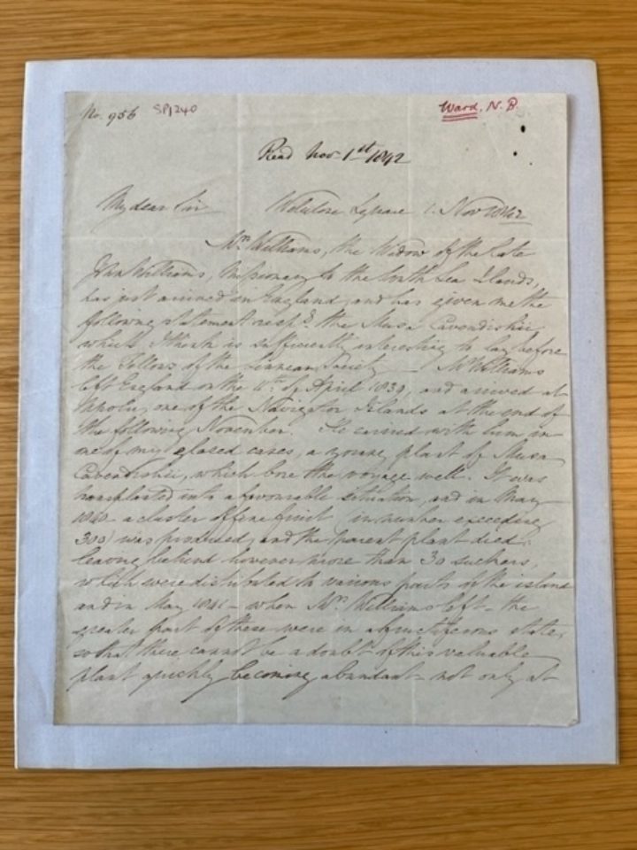 SP/1240 Scientific paper by Nathaniel B. Ward