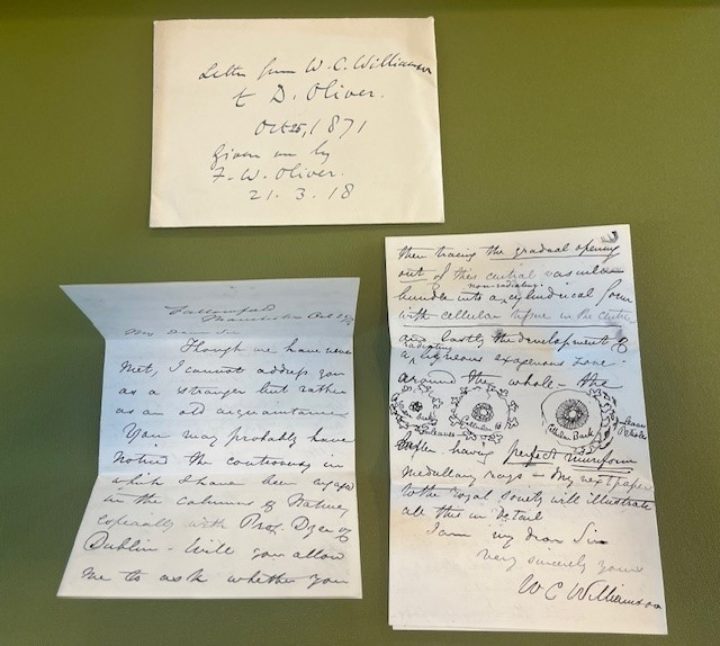 The envelope alongside two unfolded pieces of letter paper with writing on all sides