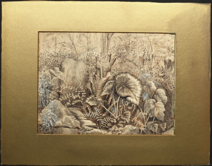 MS/715 Sketch of a conservatory by Maria Ward