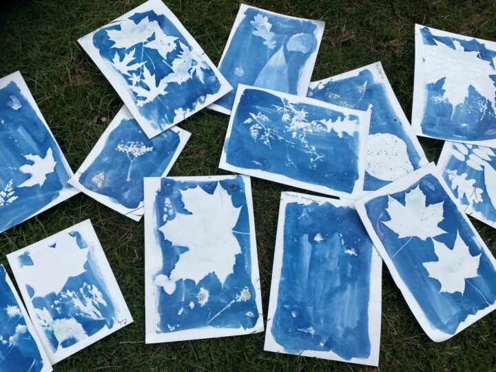 Photo of cyanotypes made by students, an early form of photography using light reactive chemicals