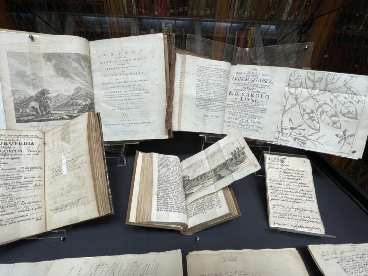 A treasure of our travel collection, Anders Sparmann's "A Voyage to the Cape of Good Hope" (1785), on display as part of a recent exhibition