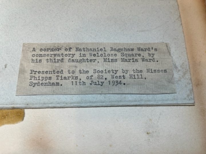 Label on reverse of MS/715