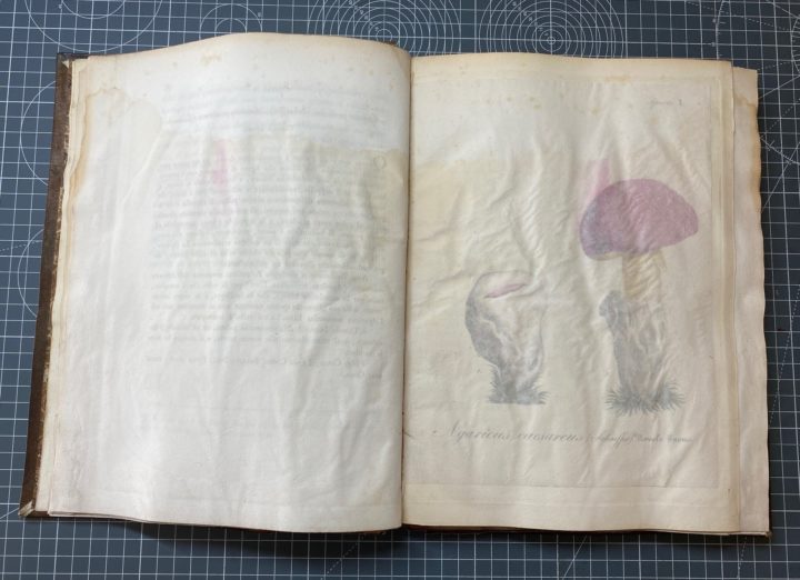 Plate before conservation