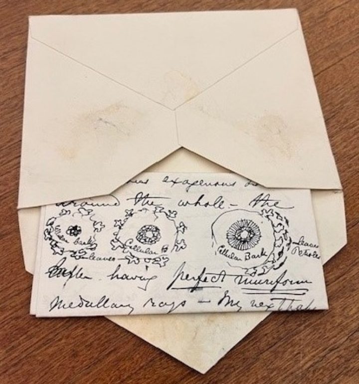 The envelope and one of the folded sheets of paper from inside including circlular botanical illustrations