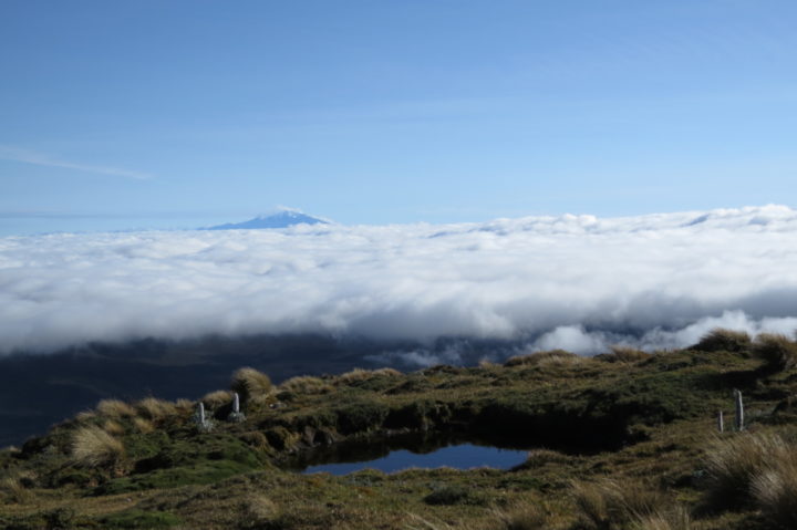 Landscape image of high-altitude lake in the Andes Mountains.