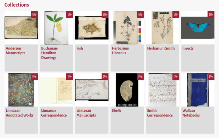 An image of the collections that have been digitised.