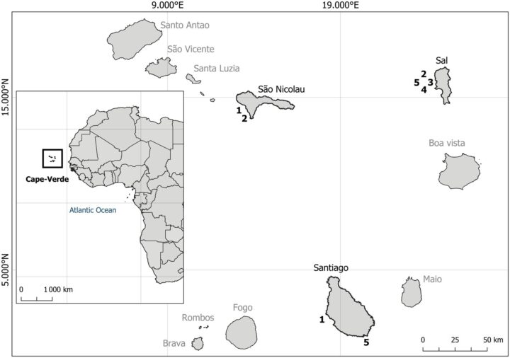 A schematic map showing the location of Cape Verde off the coast of Africa.