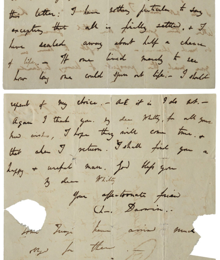 Letter from Charles Darwin to Charles Whitley (DWC/1/1)