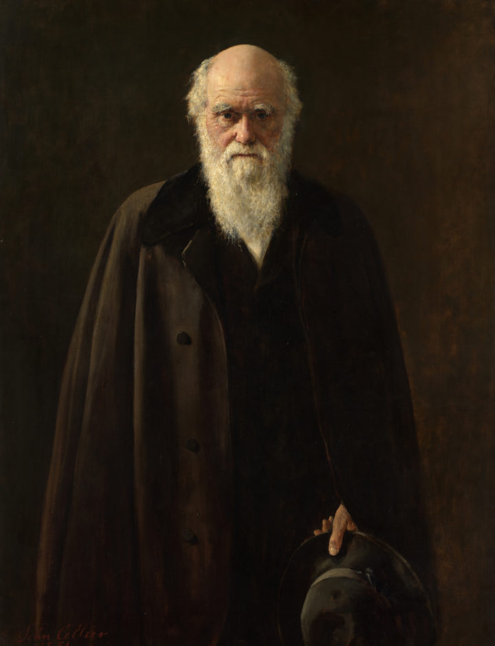 John Collier's 1881 portrait of Charles Darwin. Darwin is depicted in old age, facing the viewer, and dressed in a brown cloak and holding a hat. His expression is solemn,