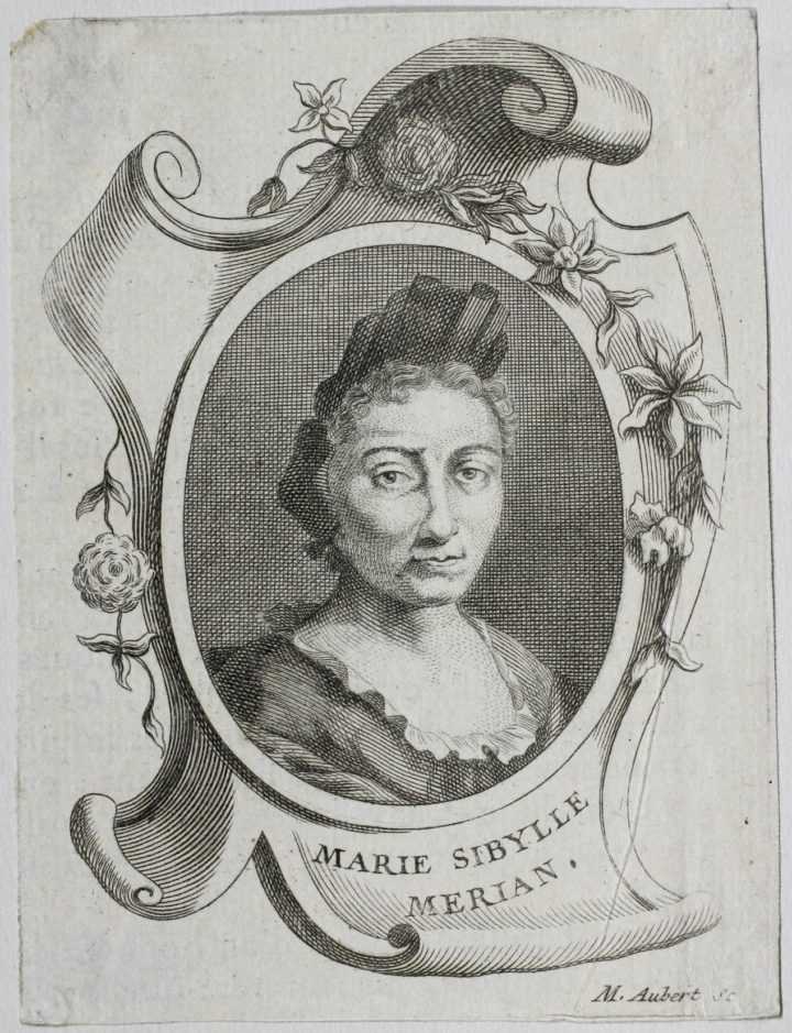 EP-M-37: Engraved Portrait of Maria Sybilla Merian
