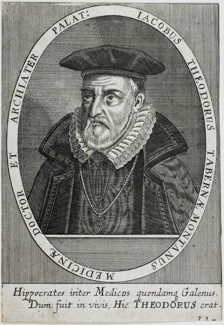 Jacobus Theodorus
