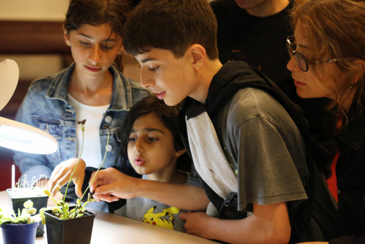 Family visitors to the Linnean Society