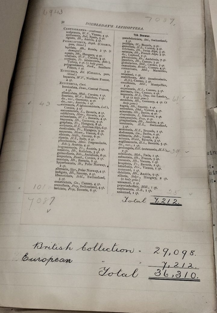 A page showing a list of winged insects with annotations written in ink and pencil.