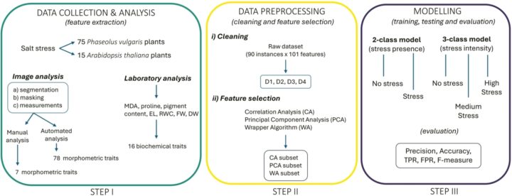 The first and leftmost block is data collection and analysis, taking photos which are then analysed for conducting laboratory work. The middle block consists of cleaning data and trimming the columns used in training. The third, final and rightmost block involves model training, in this case creating two models. One model is a binary classifier (in plant leaves, is there stress or not?), while the other is a multi-class classifier (a binary classifier with an extra class, if there is a medium amount of stress).