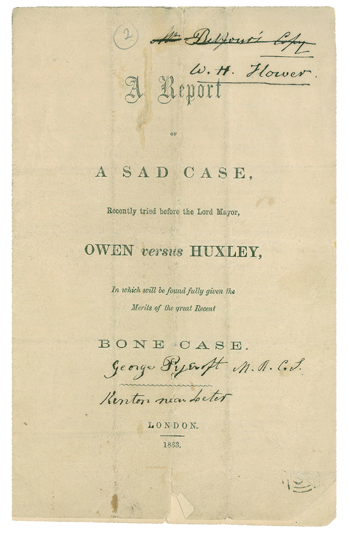 A Sad Case Title Page