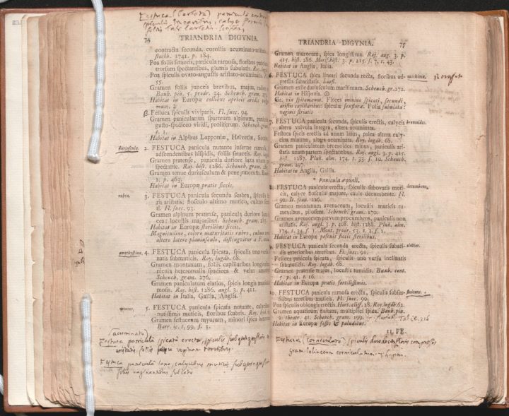 First version of the page 75 with François Boissier de La Croix de Sauvages's handwritten notes