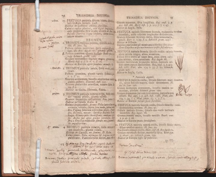 Second version of the page 75 with François Boissier de La Croix de Sauvages's handwritten notes
