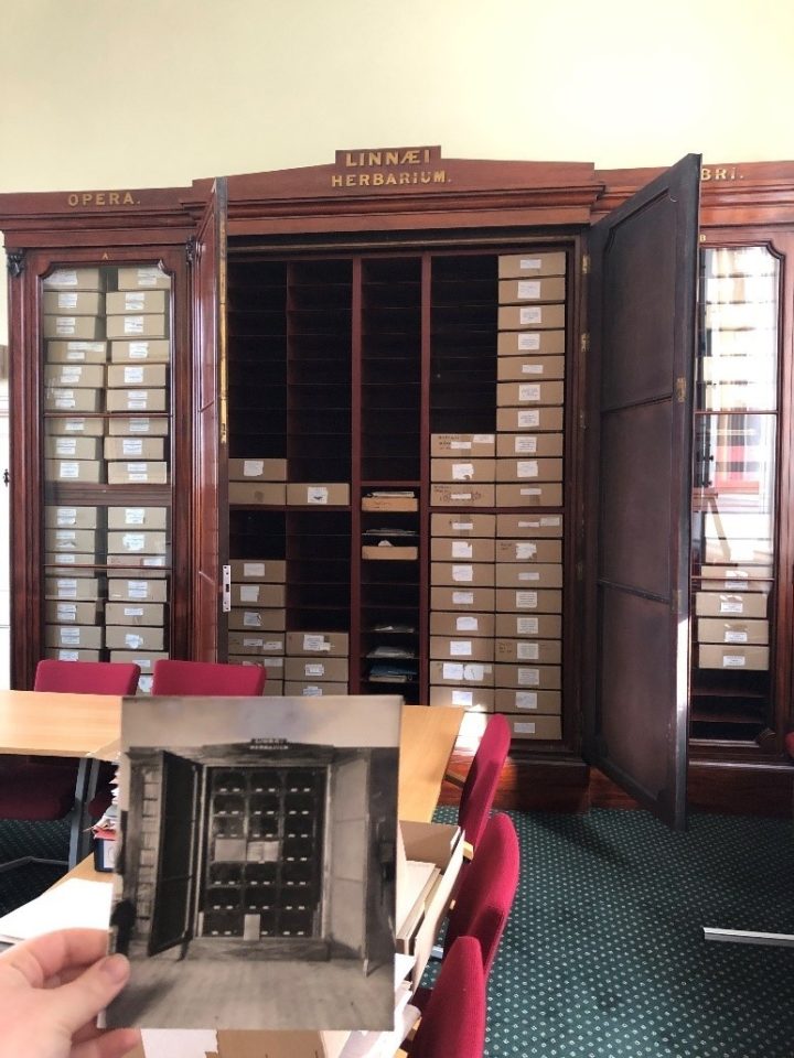 Large wooden cupboard in background with black and white photograph of the same cupboard held in foreground