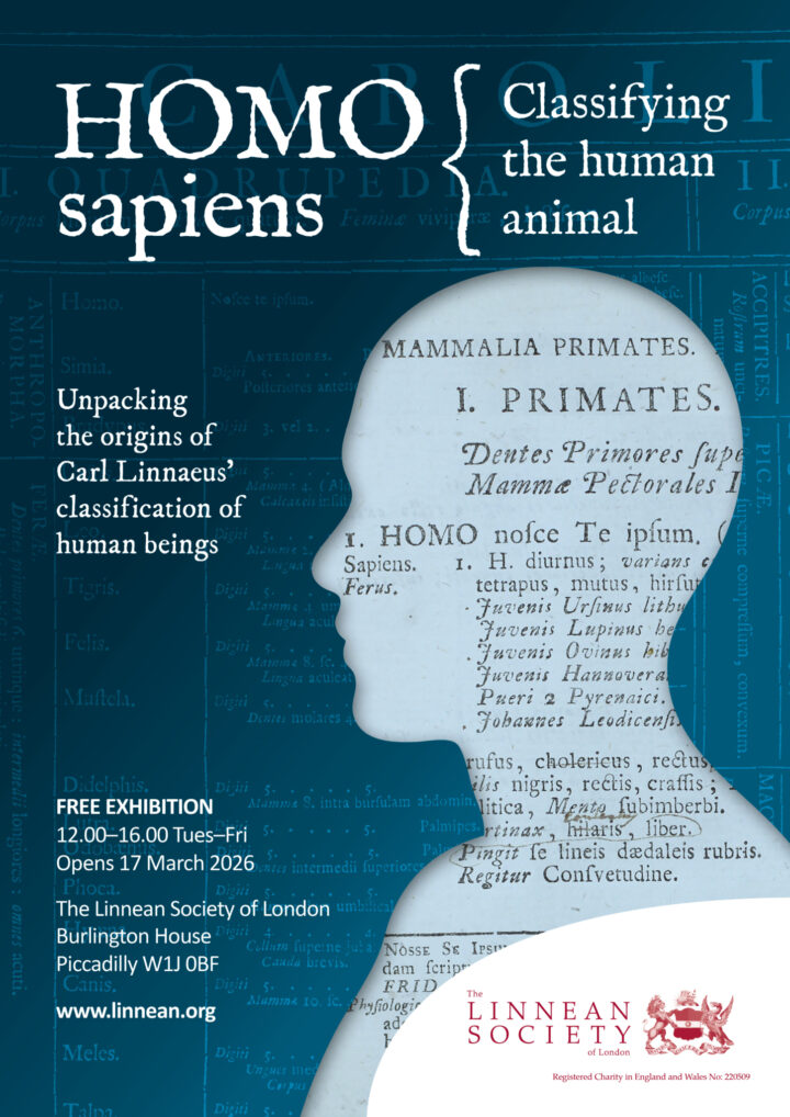 Homo sapiens exhibition poster