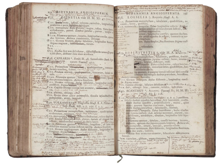 pp. 234-235