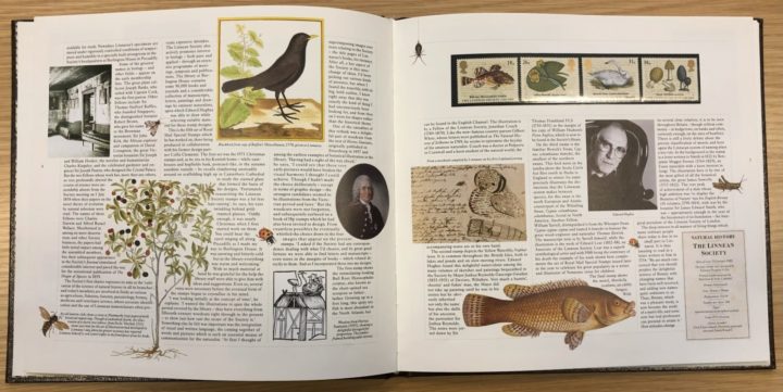 Pages of the Royal Mail special stamp book with stamps celebrating the Linnean society featuring pictures of animals from the collections