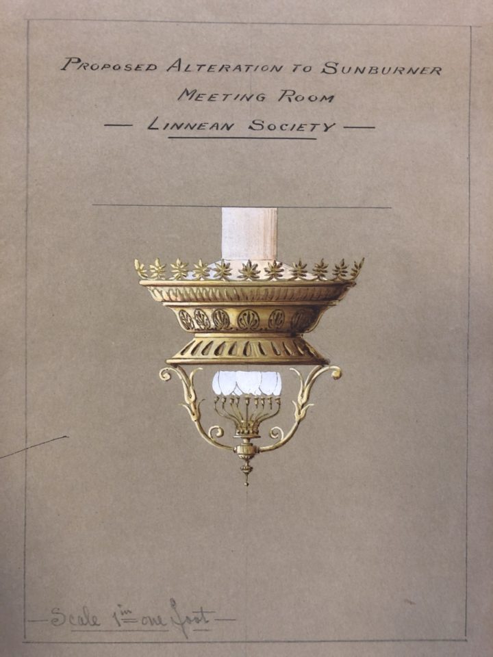 watercolour drawing of a sun burner for the Meeting Room of The Linnean Society