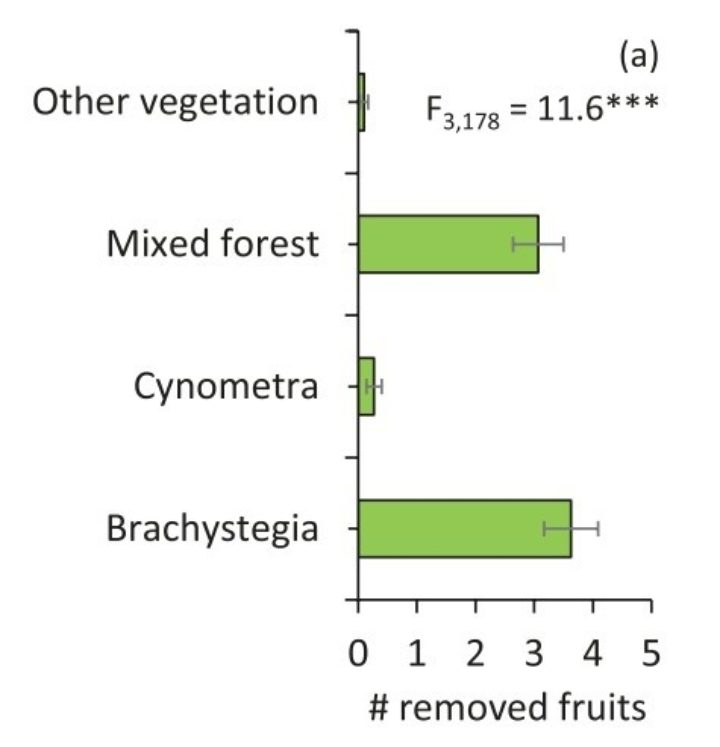 A bar chart showing the rate of fruit removal in each forest type, with the green bars representing the mean number of fruits removed.