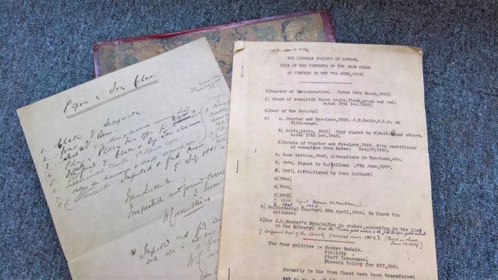 Iron chest contents lists