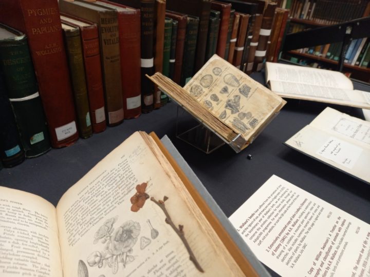 A selection from Wallace's library on display at the Linnean Society. The special bicentenary exhibition will run until December 2023,