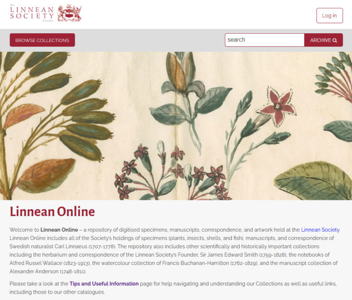 A screenshot of the Linnean Online homepage.