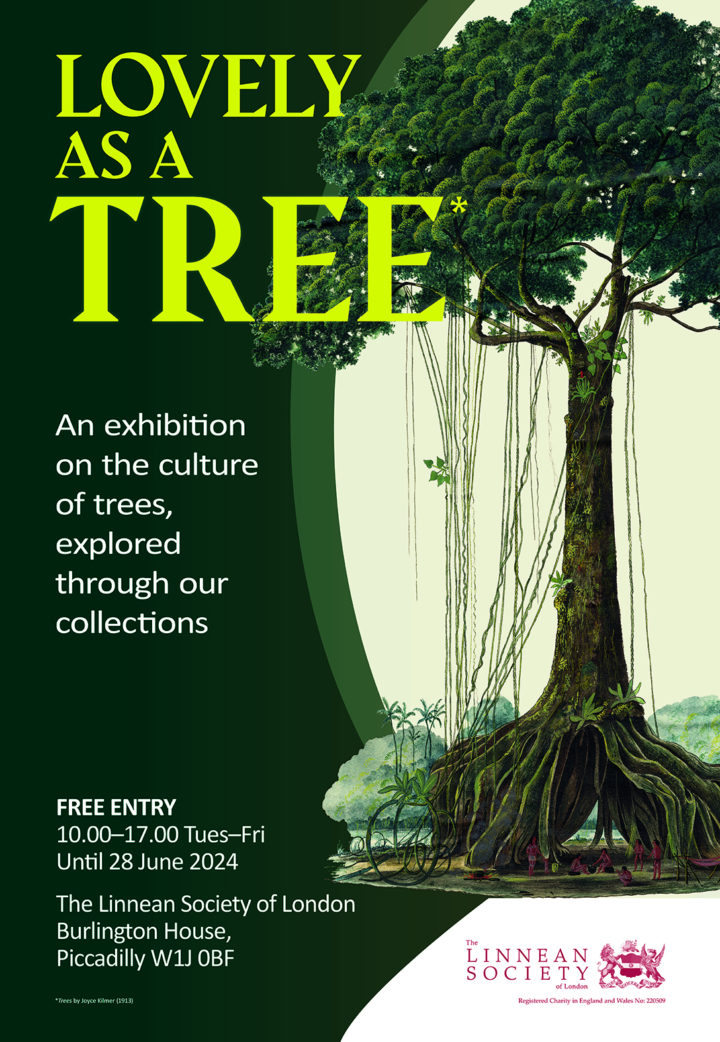 Poster for exhibition showing Schomburgk's watercolour of a Mora tree